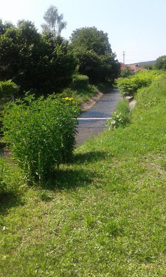 Riverside Apartman**** Miskolc Extérieur photo